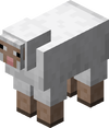 A Sheep from Minecraft