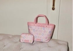 Merchandise released by Samantha Thavasa.