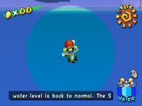 The 'Blue Screen of Death' glitch in Super Mario Sunshine.