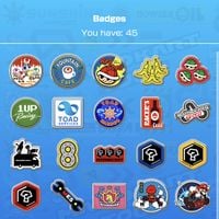 MKT Badge Collection.jpg