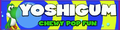 SMS Unused Banner Yoshi Gum.png
