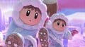 SSBU Ice Climbers Magicant.jpg