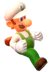 Fire Luigi from Super Mario 3D World