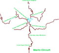 A composite map of all routes leading to Mario Circuit