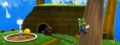 "Luigi in the Honeyhive Kingdom"