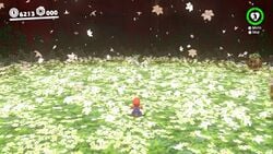 Screenshot of the fully-bloomed Secret Flower Field of the Wooded Kingdom in Super Mario Odyssey.