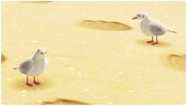 Two gulls in Seaside Kingdom