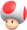 Toad