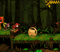 Diddy and Dixie Kong obtain the DK Coin in Barrel Bayou of Donkey Kong Country 2: Diddy's Kong Quest