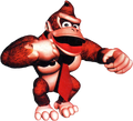 Donkey Kong Country