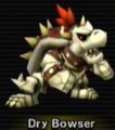 The Bowser who is dry