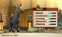 HorseSpeed-Male5.png