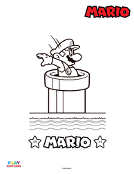 Here we go! Paint-by-number Play Nintendo image