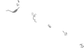 The full map compared to the routes used in VS Race