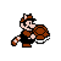Raccoon Mario carrying a Koopa Shell ( 20)
