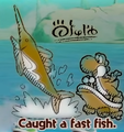 "Caught a fast fish." discovery from Snurfboard Habitat in Yoshi and the Mysterious Book