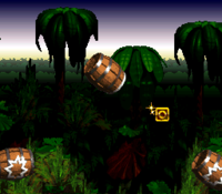 One of the O's in Barrel Cannon Canyon from Donkey Kong Country