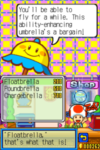 Shop in Super Princess Peach at the start of the game with no items bought.