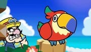 A parrot