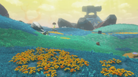Hilltop Layer