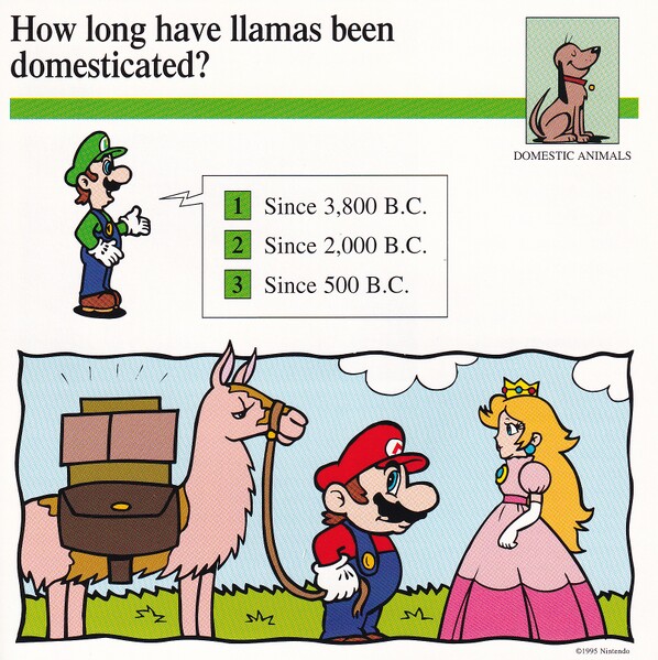 File:Llamas domesticated quiz card.jpg