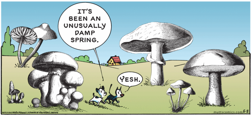 File:Mutts - 20130505.png