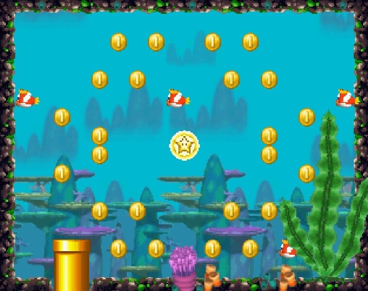 File:NSMB W6-5 2nd Star Coin.jpg