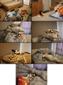 Thumbnail for version as of 12:26, July 19, 2025