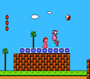 SMB2 Key Killing Birdo Glitch.png