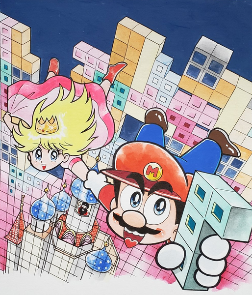 File:SML2 KC Mario.png