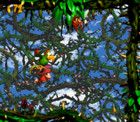 The Kongs and Squawks the Parrot flying through the final section of Bramble Blast in Donkey Kong Country 2: Diddy's Kong Quest