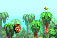 Warp Barrel in level Jungle Hijinx (GBA)