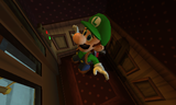 Luigi rides the elevator down to the boss.