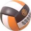 Volleyball item sticker for the Nintendo Switch Sports trophy in the Trophy Creator application