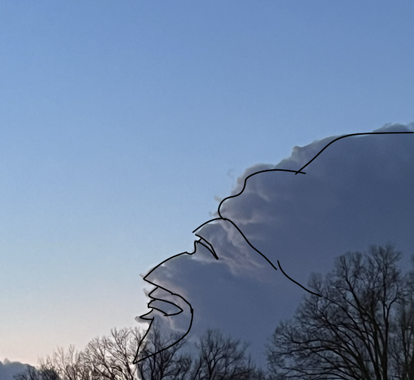 Shroom230Cloudgazing-Weej1.png