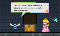 Boomer about to ask Princess Peach several questions.