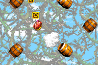 The O in Bramble Blast (Donkey Kong Country 2: Diddy's Kong Quest)