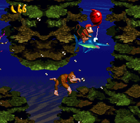 The Kongs and Enguarde the Swordfish swim up to the Life Balloon of Coral Capers in Donkey Kong Country