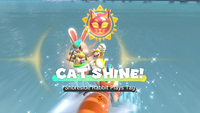 Collecting a Cat Shine in Bowser's Fury