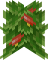 Sweet Berry Bush (age 2)