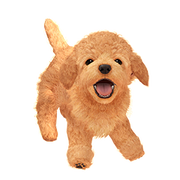 Nintendog - Super Mario Wiki, the Mario encyclopedia