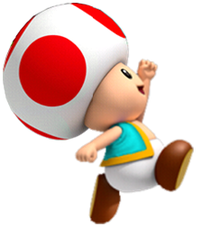 RCToad2.png