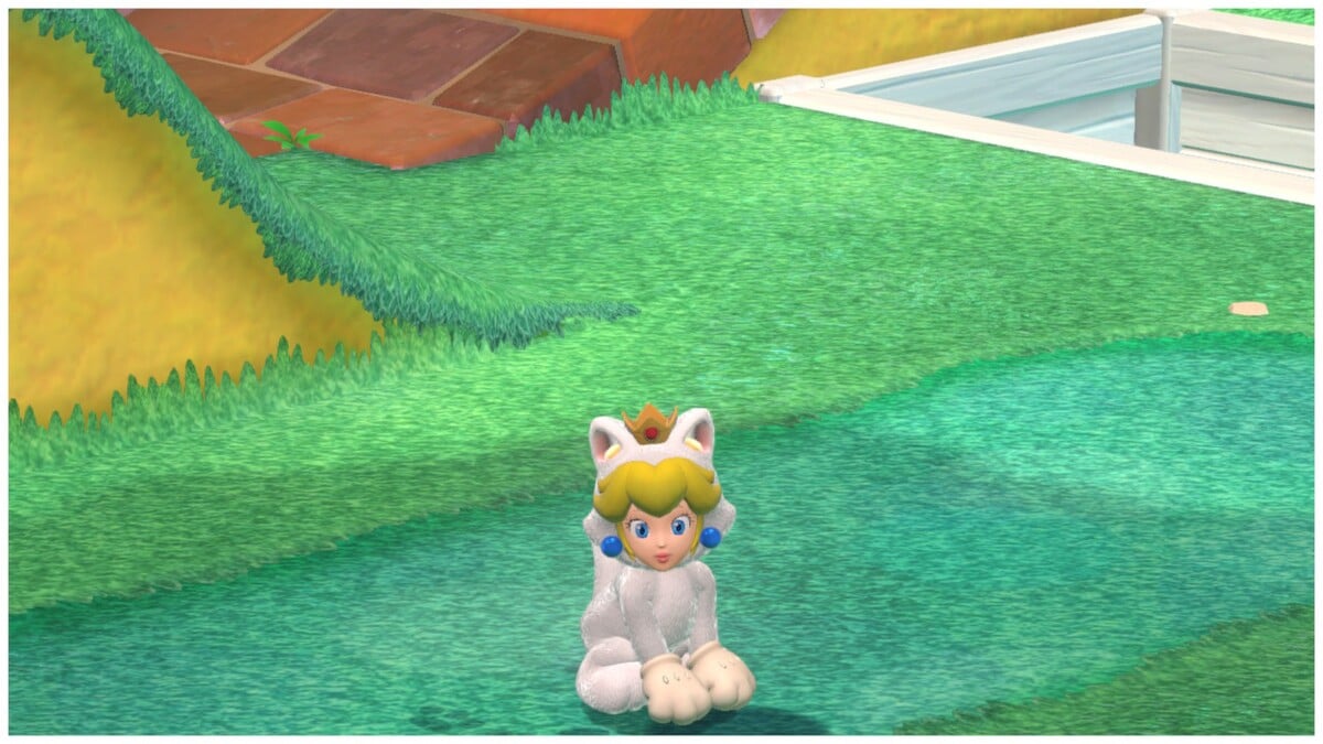 File:White Cat Peach.jpg - Super Mario Wiki, the Mario encyclopedia