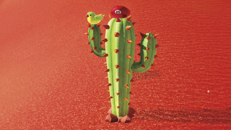 File:Cactus SMO.png