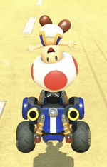 Toad performing a trick.