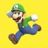 Luigi card from Online Super Mario Memory Match-Up Game