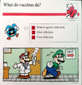 "What do vaccines do?"