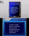 Young Cricket (back)