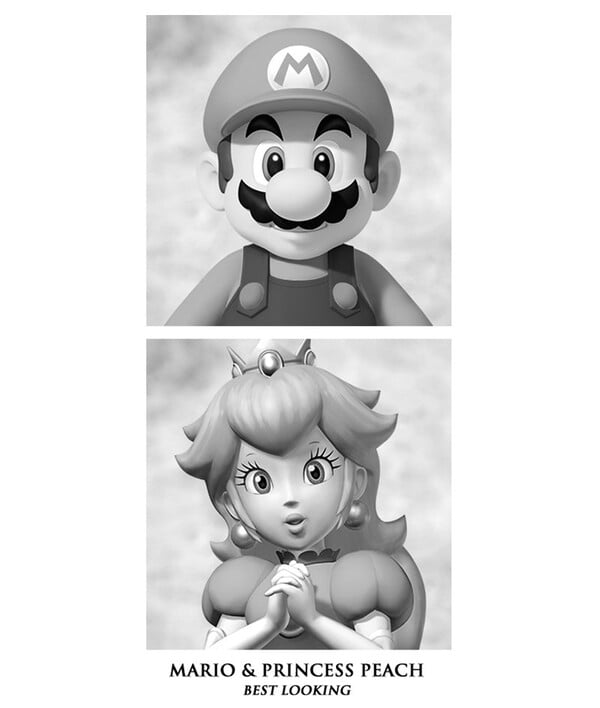 A Mushroom Kingdom Yearbook Super Mario Wiki, the Mario encyclopedia