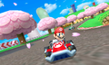 Mario on Mario Circuit.